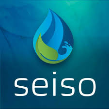 logo seiso.jpg